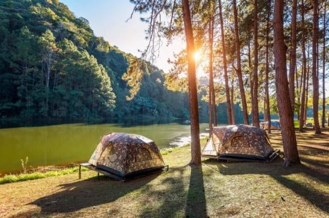 Camping Andalusië