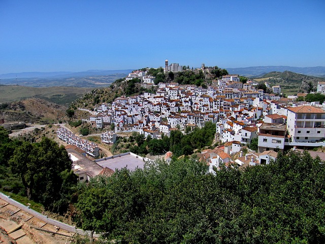 Casares